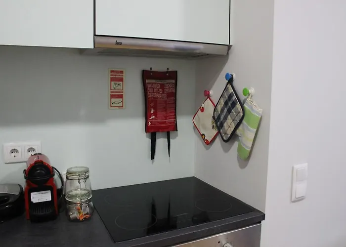 Apartment Practical And Comfortable With Garden Porto